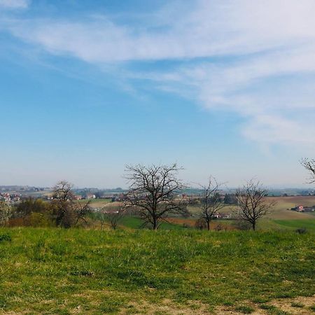 La Casa Dei Nonni Apartment Pino Torinese Екстериор снимка
