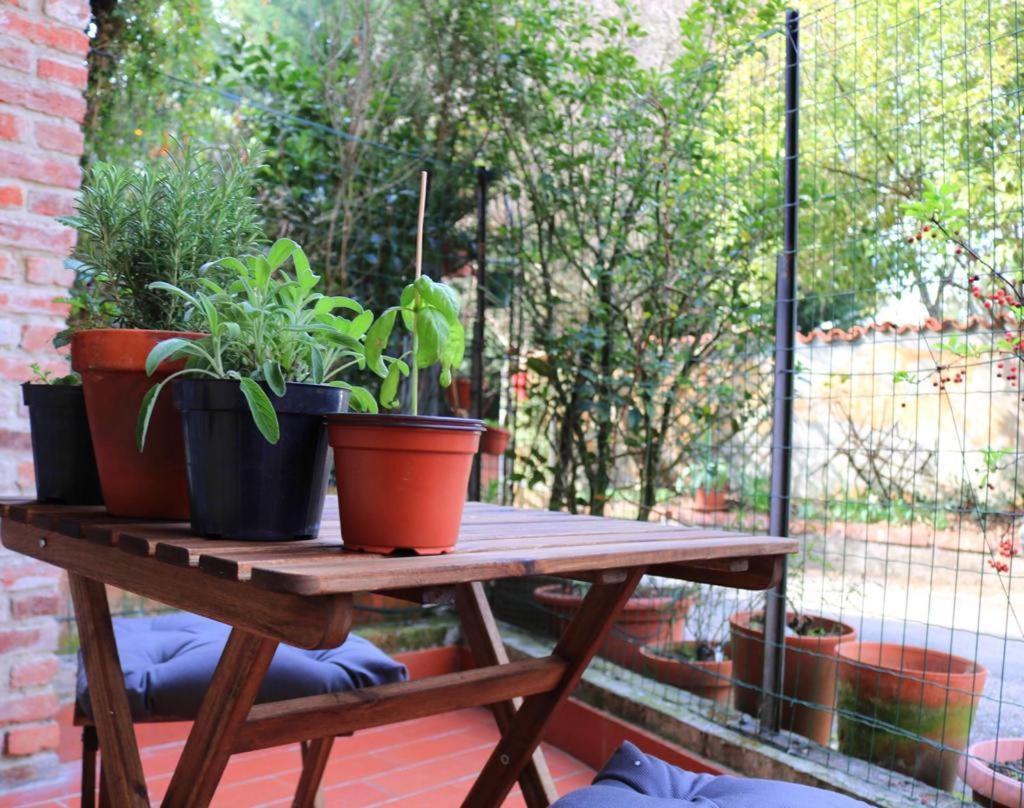 La Casa Dei Nonni Apartment Pino Torinese Екстериор снимка